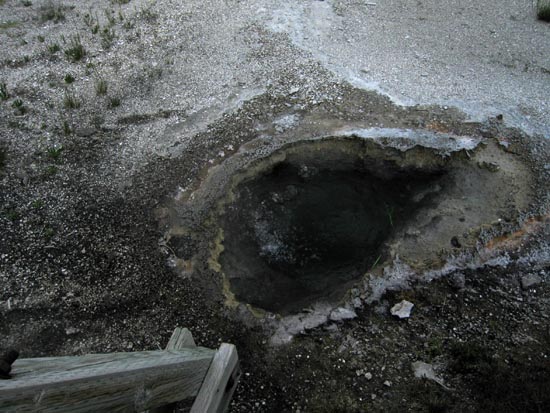 2006 family reunion in Yellowstone National Park